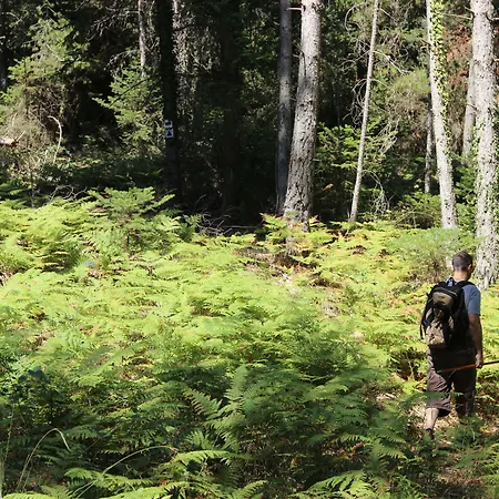 Pritanio 3* Polidhroson