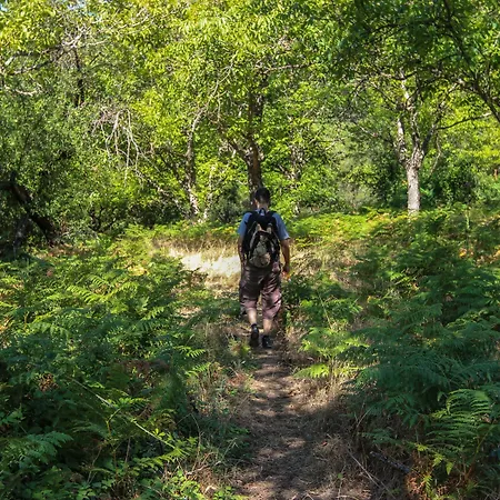 πρυτανείο Πολύδροσο