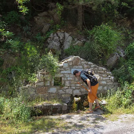 Pritanio