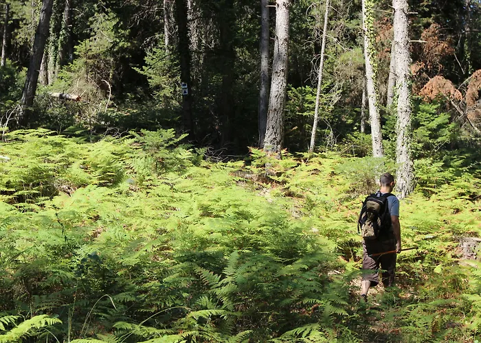 Pritanio 3* Polídhroson