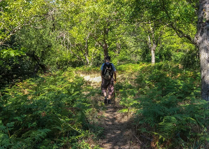 Pritanio Polídhroson