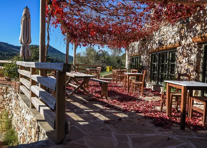 Pritanio 3* Polídhroson